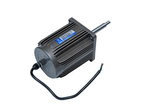 微型定速電機 微型定速電機