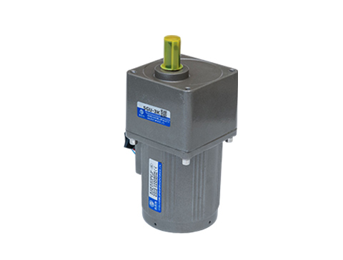 微型定速電機 微型定速電機